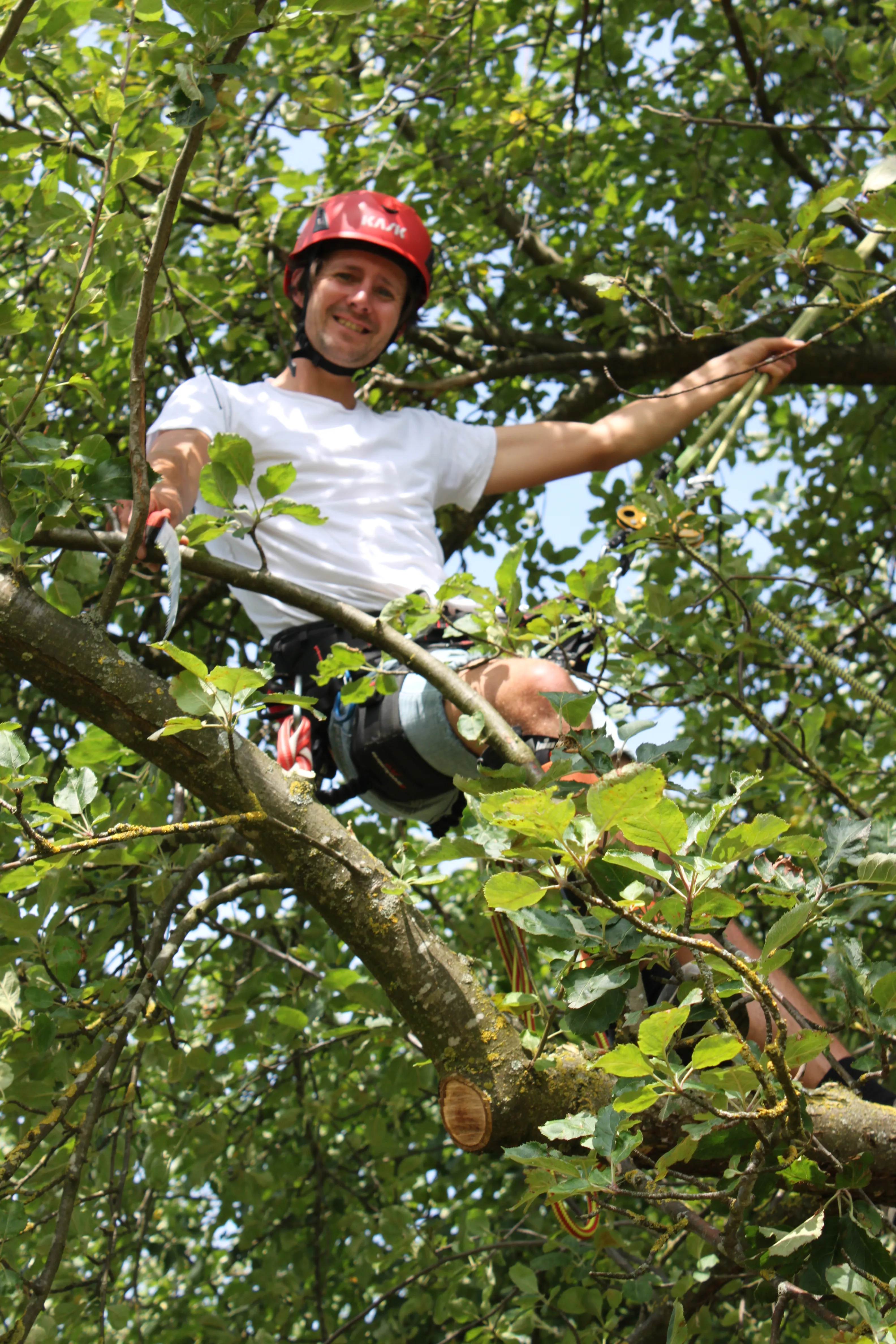 Porträt von Jakob Liehmann bei der Arbeit am Baum